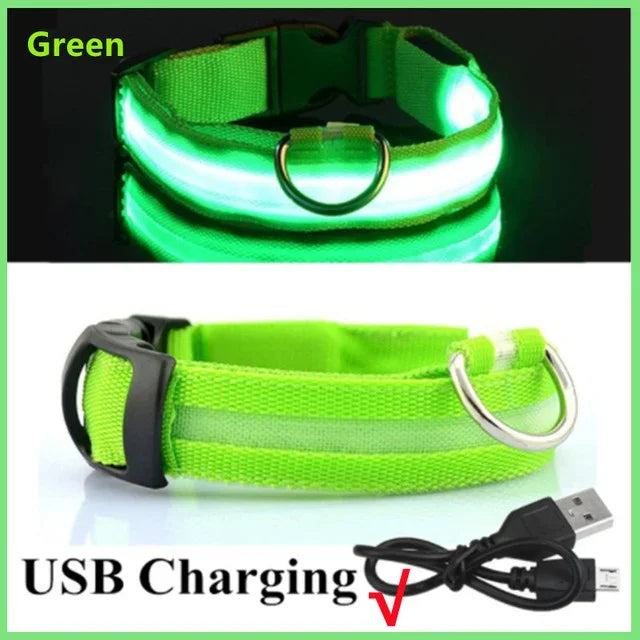 Rechargeable High Visibility Pet Collar