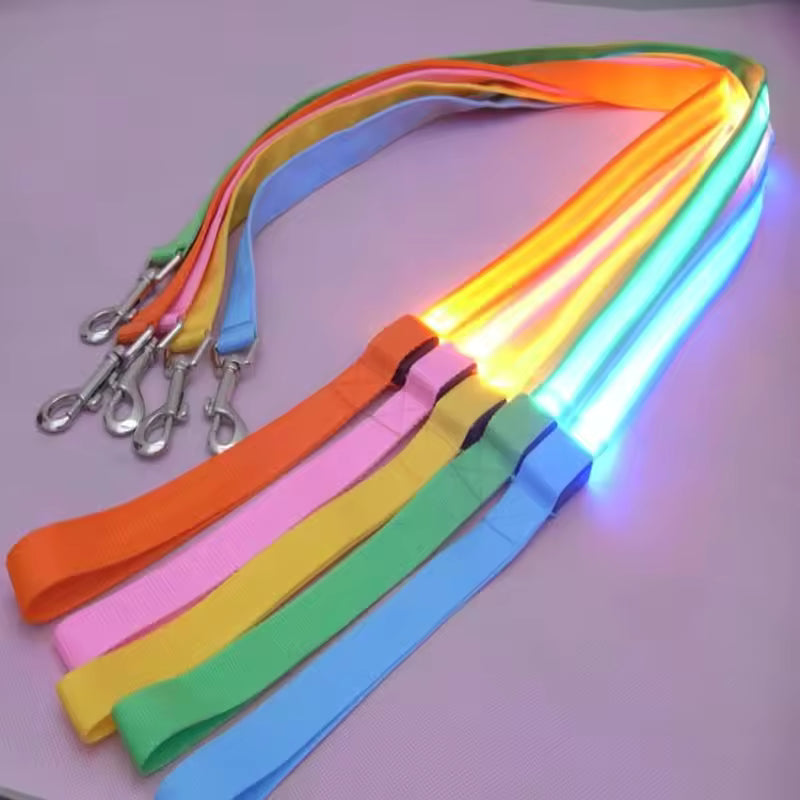 Rechargeable High Visibility Pet Leash
