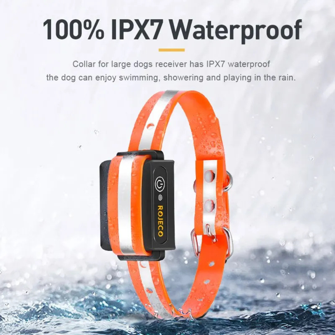 Remote Control Dog Training Collar.