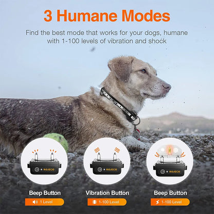 Remote Control Dog Training Collar.