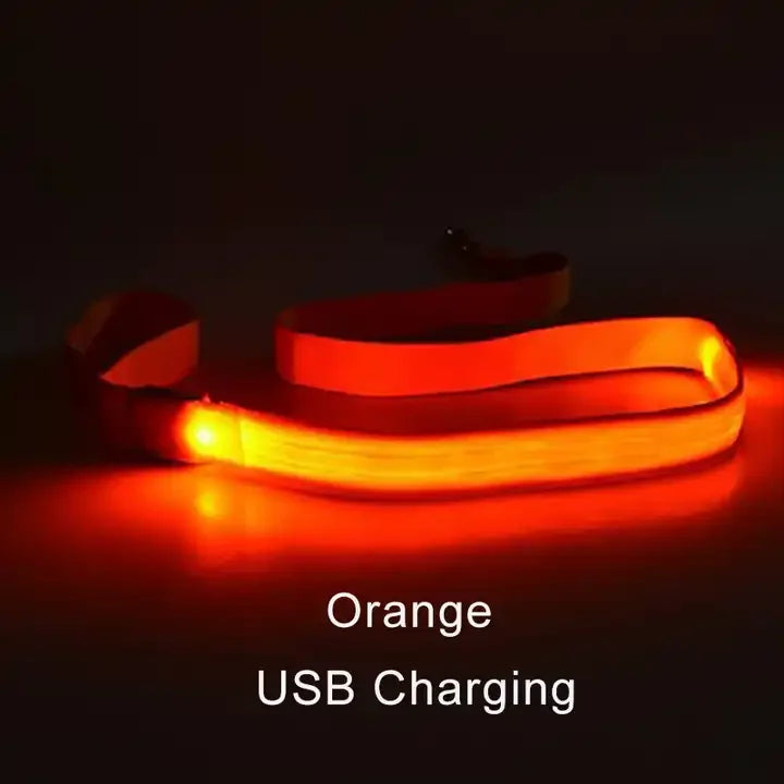 LED Dog Safety Leash