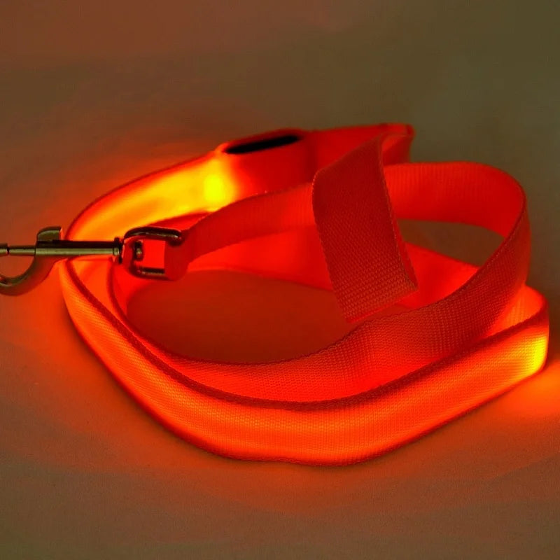 LED Dog Safety Leash