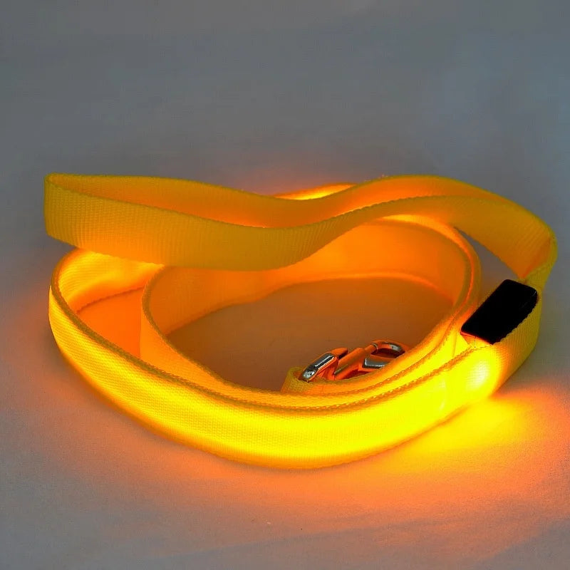 LED Dog Safety Leash