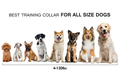 Remote Control Dog Training Collar.