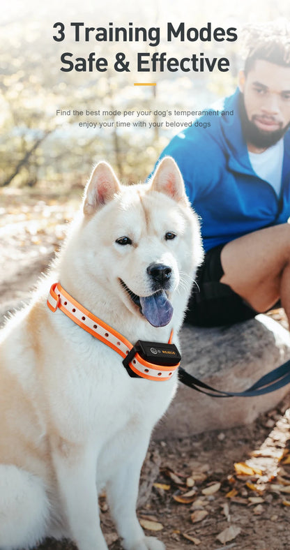 Remote Control Dog Training Collar.