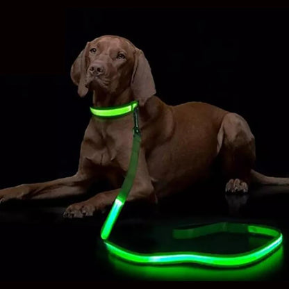 LED Dog Safety Leash