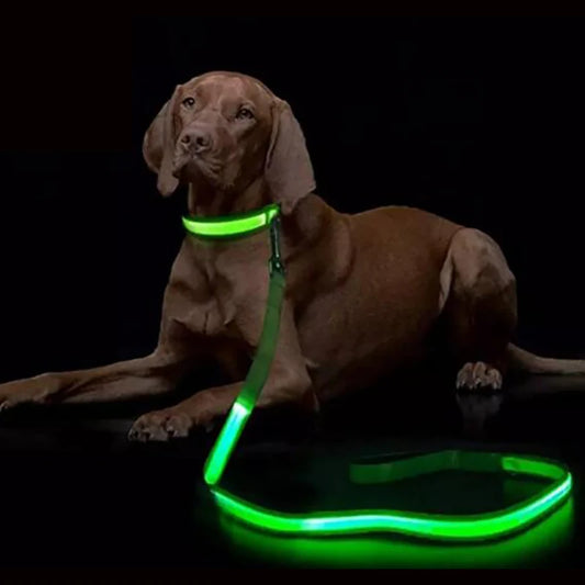 LED Dog Safety Leash