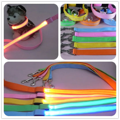 LED Dog Safety Leash