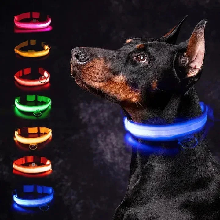Protect Your Pet - Light Up Collar