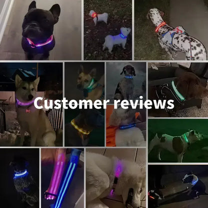 Protect Your Pet - Light Up Collar