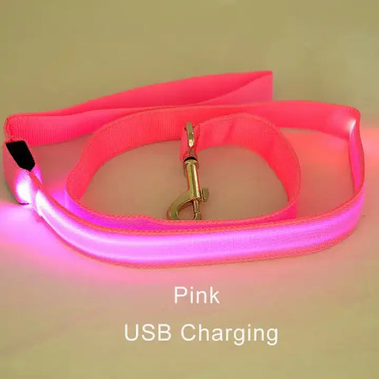 Rechargeable High Visibility Pet Leash