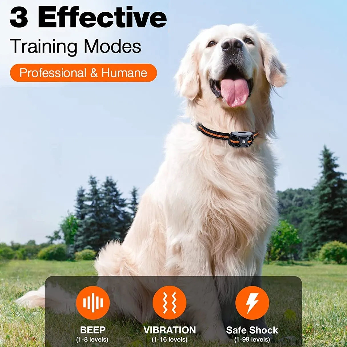 Professional Remote Control Dog Training Collar