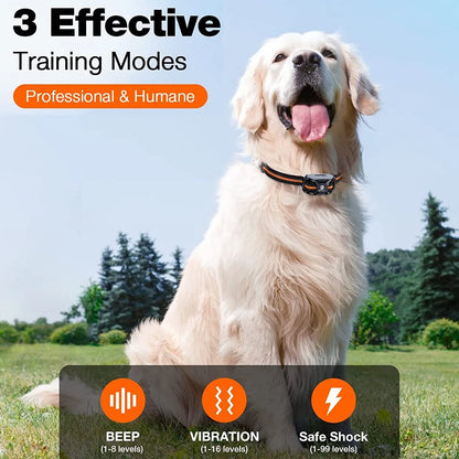 Professional Remote Control Dog Training Collar