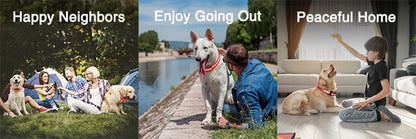 Remote Control Dog Training Collar.