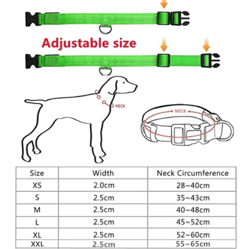 Protect Your Pet - Light Up Collar