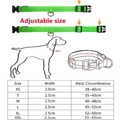 Protect Your Pet - Light Up Collar