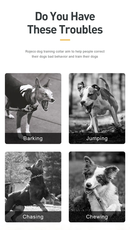 Remote Control Dog Training Collar.