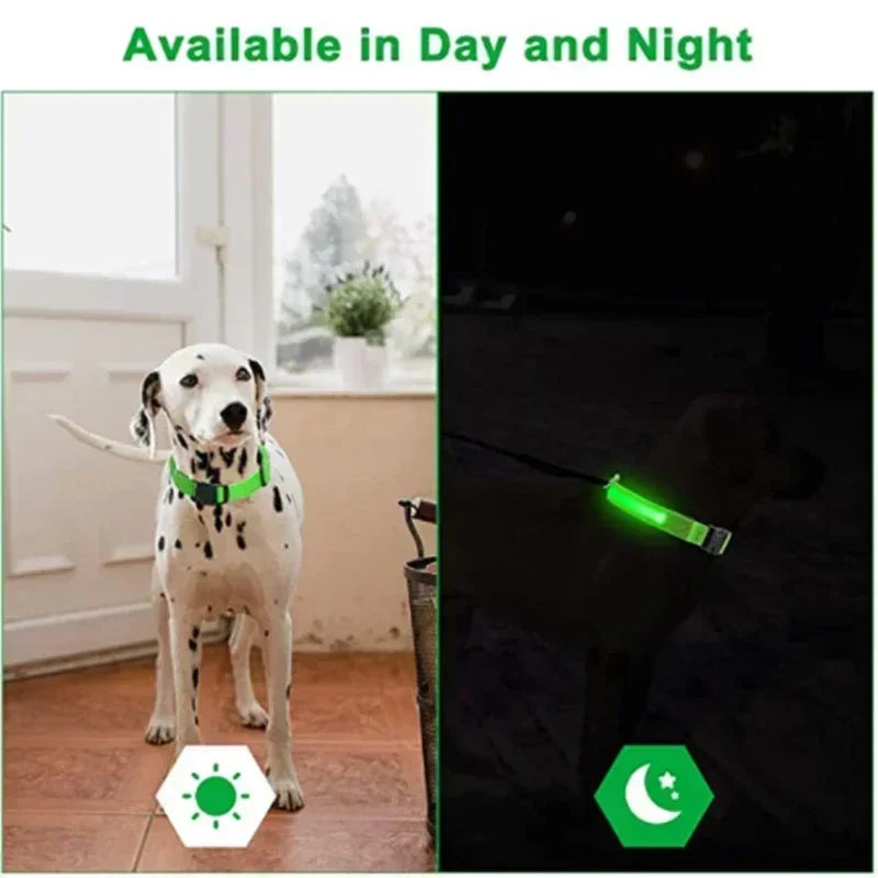 Protect Your Pet - Light Up Collar