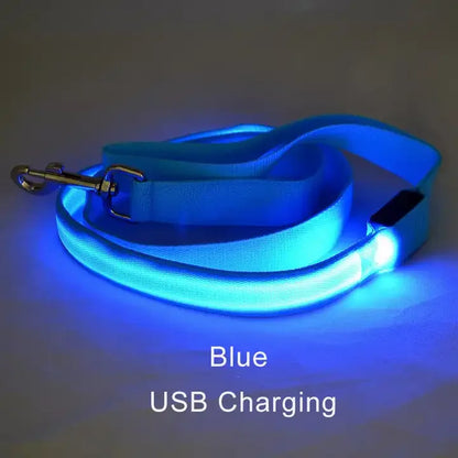 LED Dog Safety Leash